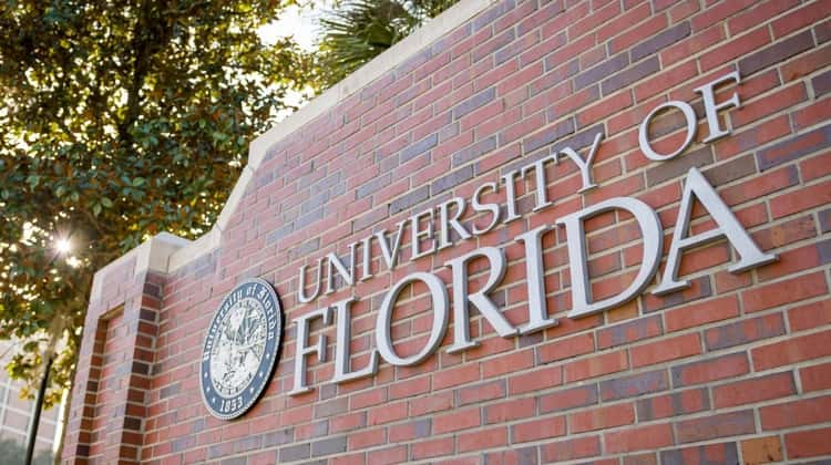 Top 5 Universities in Florida: Rankings and Insights